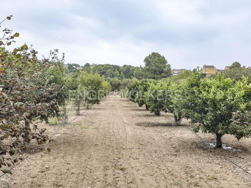 Foto 8cbbb99a-fedb-47f7-a871-b3ea358c945c. Wohngrundstück in Altafulla