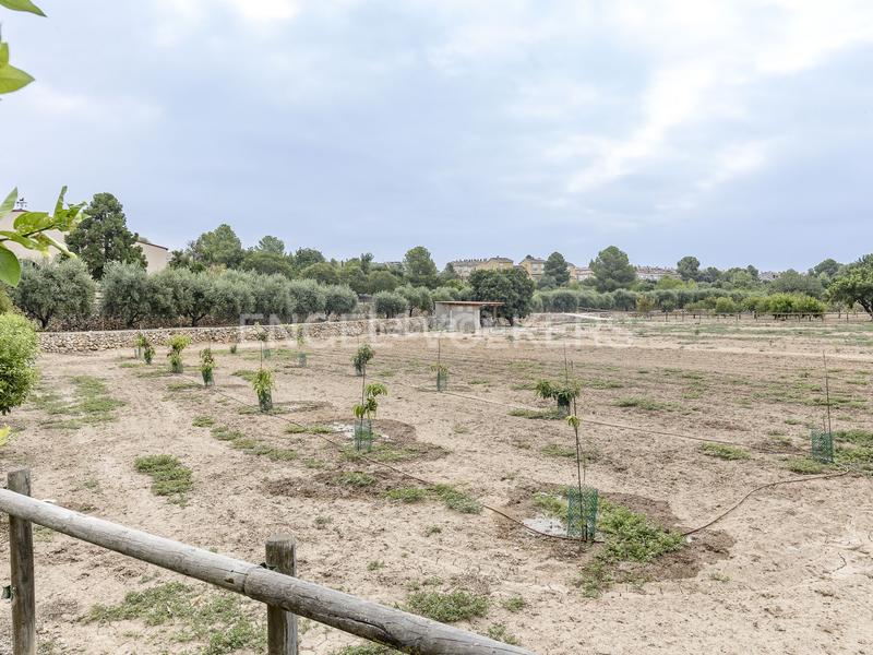 Foto 99f40ebe-bdd3-423d-897a-8c46964edc12. Wohngrundstück in Altafulla