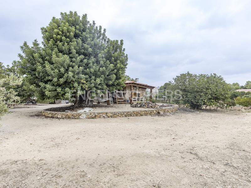 Foto 9b1b33a4-a2bc-4455-bd09-a7fcf0915f78. Wohngrundstück in Altafulla