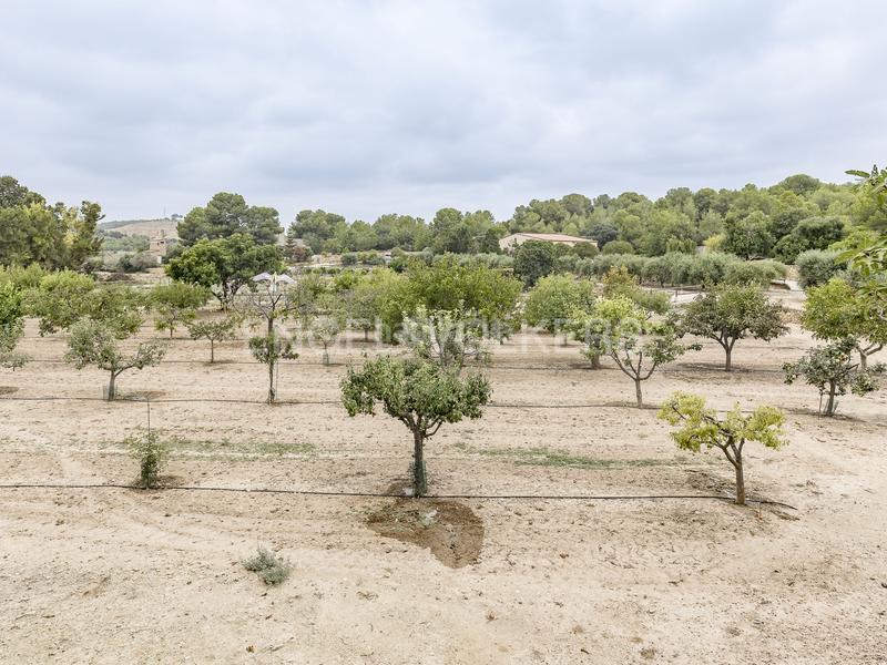 Foto 9c338ddc-de74-48d5-8753-52ab2eeb1ba6. Wohngrundstück in Altafulla