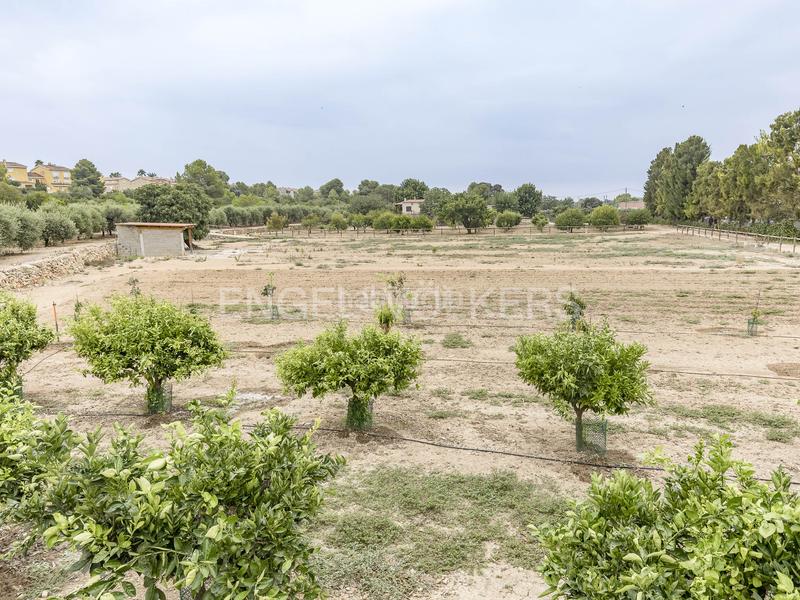 Foto af3b7c0f-5aee-43b5-8af5-02d45e34afb8. Wohngrundstück in Altafulla