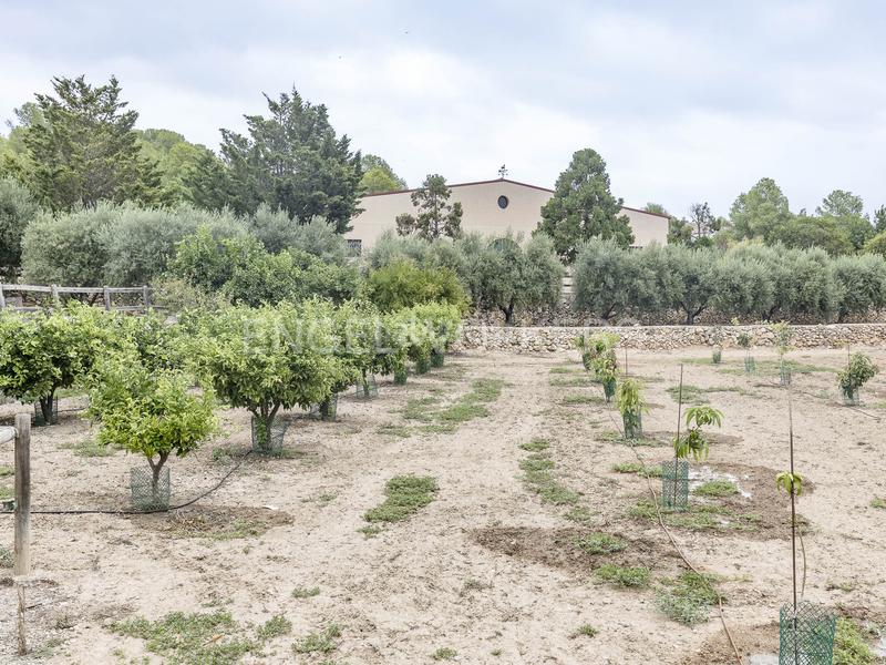 Foto b69d6bb1-f4ca-408a-adea-202a5fdebae4. Wohngrundstück in Altafulla