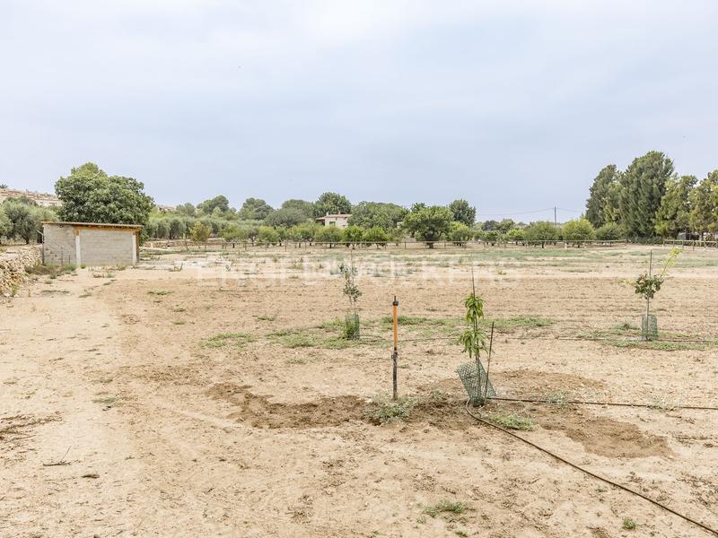 Foto ceb98333-c5b4-449e-9e66-4e3021a785e4. Wohngrundstück in Altafulla