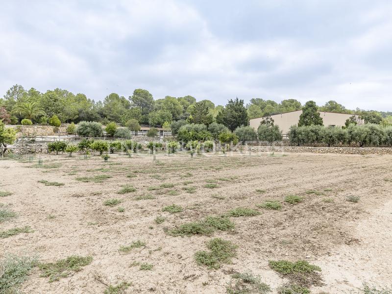 Foto fc5b51c4-8a21-4a4b-a021-326cd7635ff8. Wohngrundstück in Altafulla