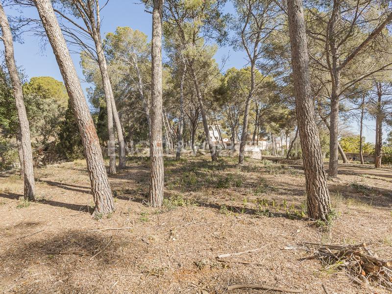 Foto 766cbe8c-561f-4761-8146-f191c96d948d. Casa privilegiado solar en primera línea de mar en Torredembarra