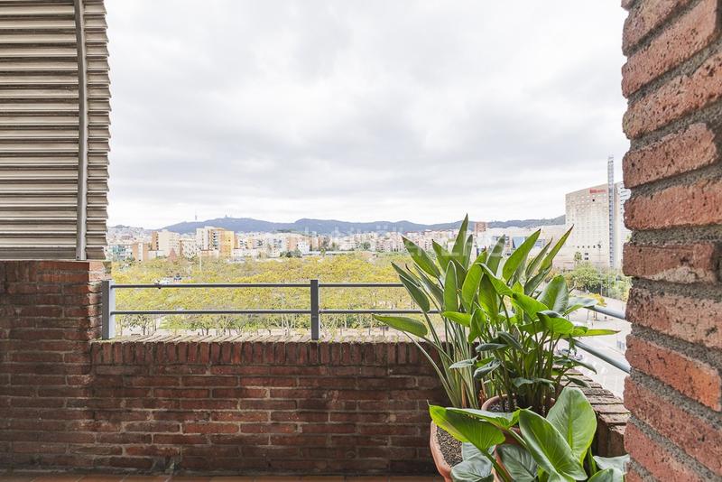 Foto 70e4e9a4-b976-4399-bd1e-c22929fd1bf9. Pis a Sant Andreu de Palomar Barcelona