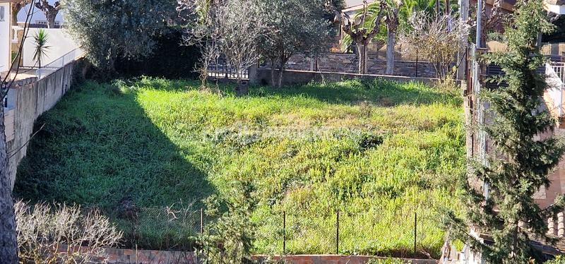 Foto ed768eb0-6dcc-4608-bbb3-852a7f247210. Terrain résidentiel dans Cervelló