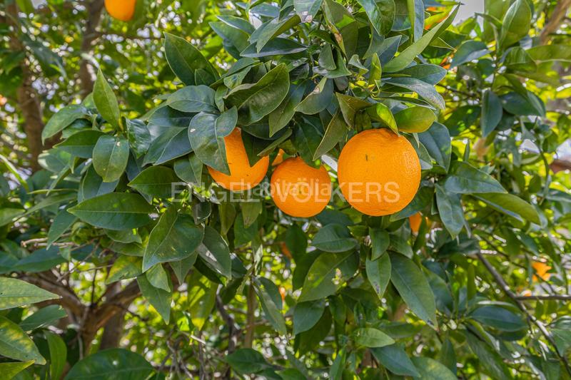 Foto 62215fba-aa27-4209-b97d-8d51a4d14b45. Maison avec chauffage dans Palau-solità i Plegamans