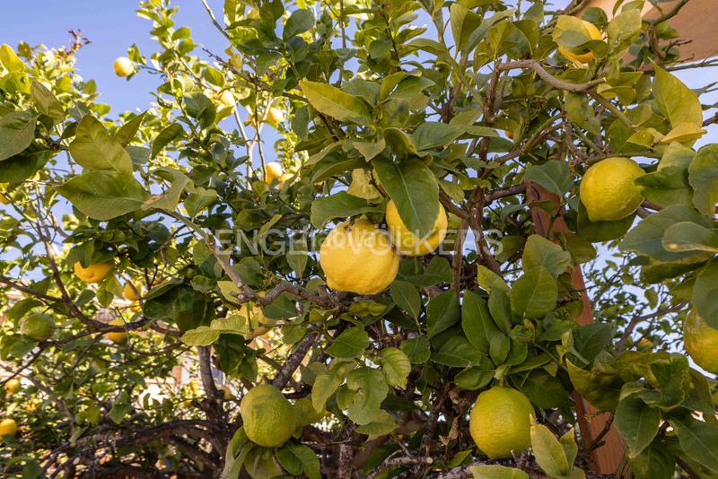 Foto 5511a398-bb2b-48ea-a4e6-82ccc54b83be. Casa amb calefacció aparcament piscina a Catllar (El)