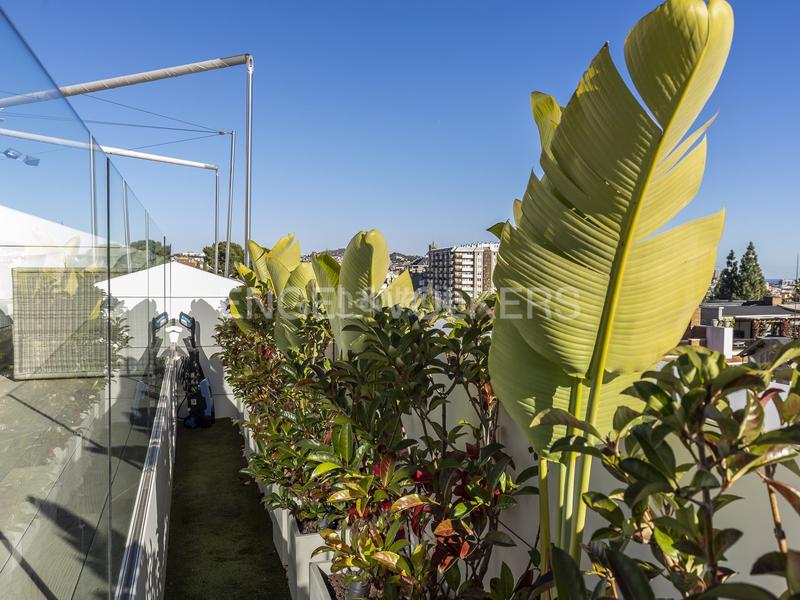 Foto 1cd5aa5f-b9b7-48bc-b46e-4a2416783eb9. Alquiler ático  único con terraza y piscina privada en pedralbes en Barcelona