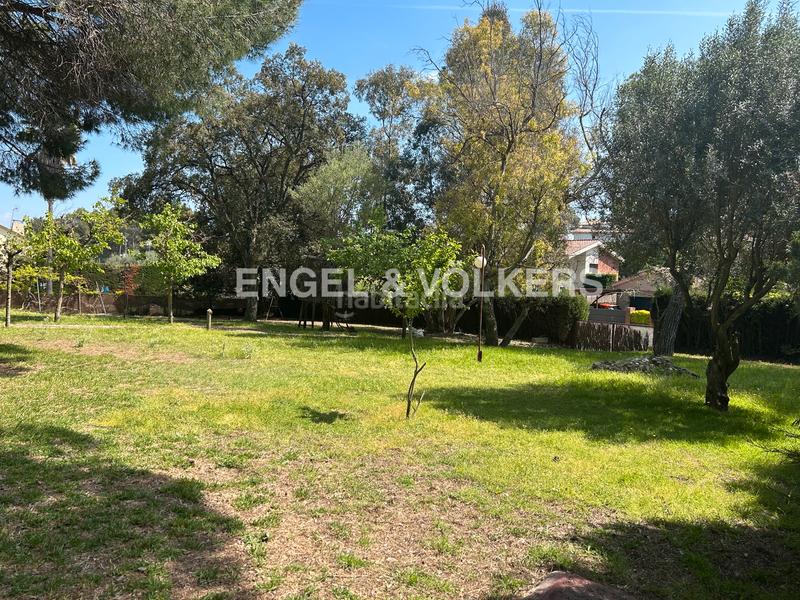 Foto 39795e26-c72d-4587-bfcd-2ac40e642093. Terrain résidentiel dans Pallejà