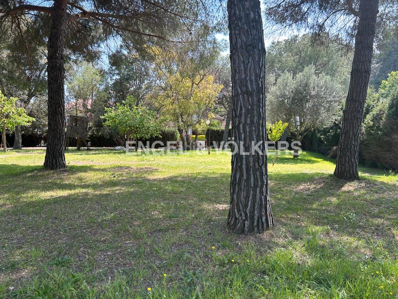 Foto d6e414f8-d5b9-4813-b1fa-434f05cc92af. Terrain résidentiel dans Pallejà