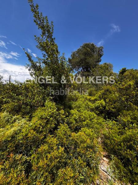 Foto c39abf60-9808-4207-a551-4d3c25b36005. Terreno residenziale in Vallirana