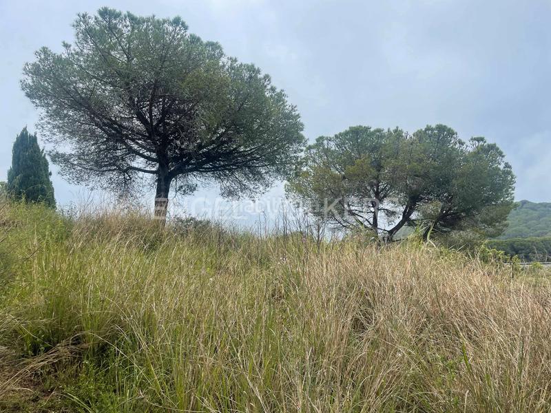 Foto 33ecf7a9-eaff-451f-8e11-a0fd7e23db93. Terreno residenziale in Montalnou - Milans del Bosc Sant Vicenç de Montalt