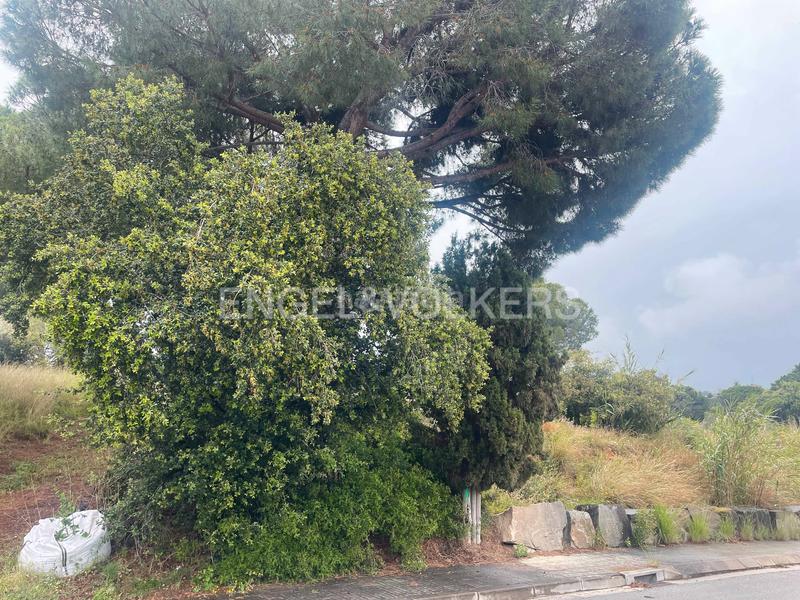 Foto 96c9559b-6cc0-4d8b-aa78-3956e01db58e. Terreno residenziale in Montalnou - Milans del Bosc Sant Vicenç de Montalt