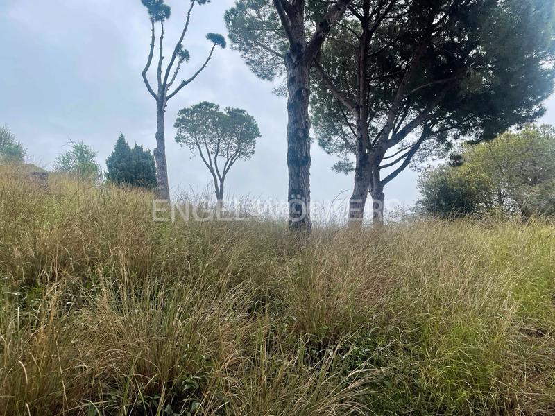 Foto fd988f5c-d059-4458-8e4e-49311f735346. Terreno residenziale in Montalnou - Milans del Bosc Sant Vicenç de Montalt