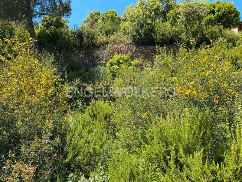 Foto 1761fb7d-6c58-41dd-8596-e74c48a7ead1. Terreno residencial exclusiva parcela residencial con vistas al mar en Palafolls