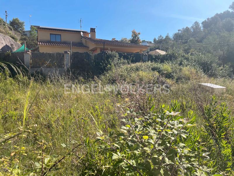 Foto 1a6fadc2-3eda-42ca-9017-b55a1aa5c0d1. Terreny residencial a Olivella