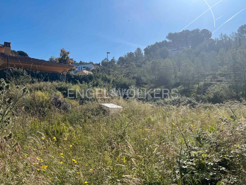 Foto 2c0e74b8-cfcb-40c4-8ca7-86b0c5b9d791. Terreny residencial a Olivella