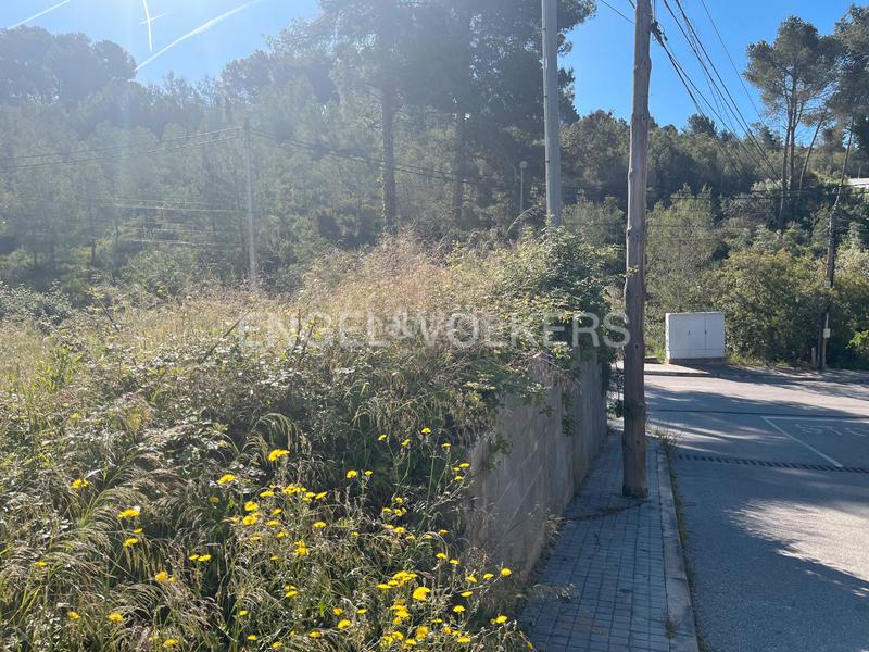 Foto 4adca6ae-7c6e-4866-bb86-205afb5eba5f. Terreny residencial a Olivella