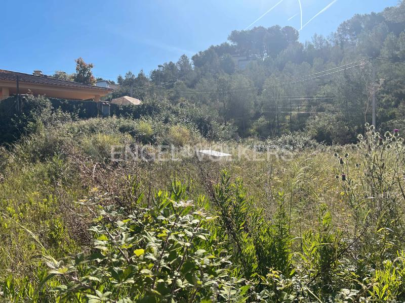 Foto 4b2079c4-72ec-4615-be3d-4723dd356be0. Terreny residencial a Olivella