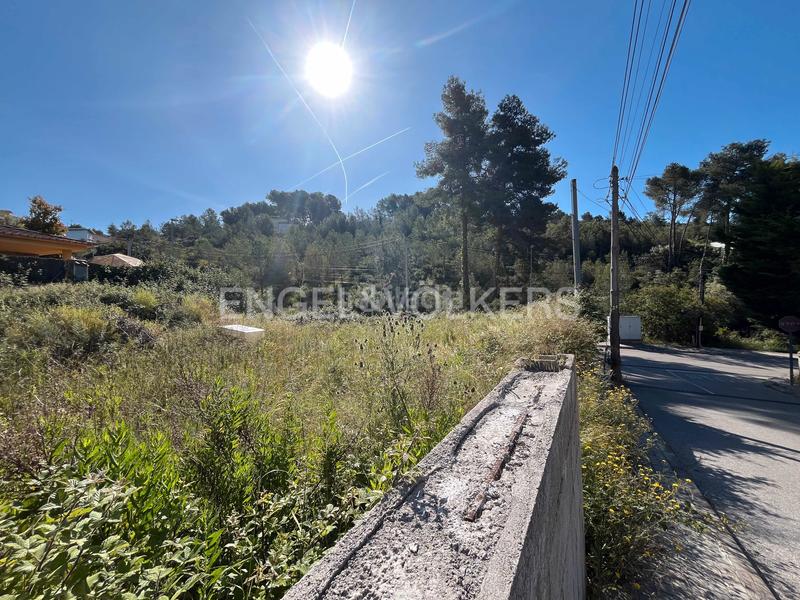Foto 63083473-20ce-42e0-8476-e0f0708fa1f7. Terreny residencial a Olivella