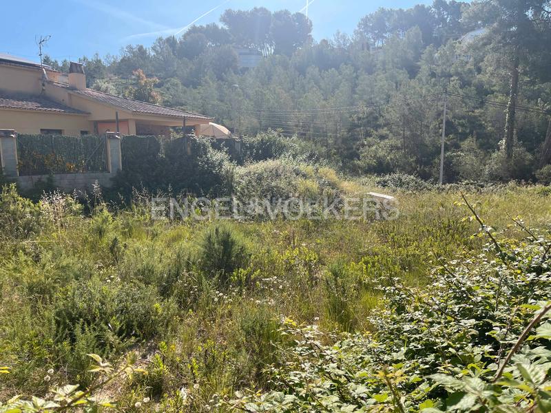 Foto 6ff871c6-87ca-4559-a1ea-8c02a9be0350. Terreny residencial a Olivella