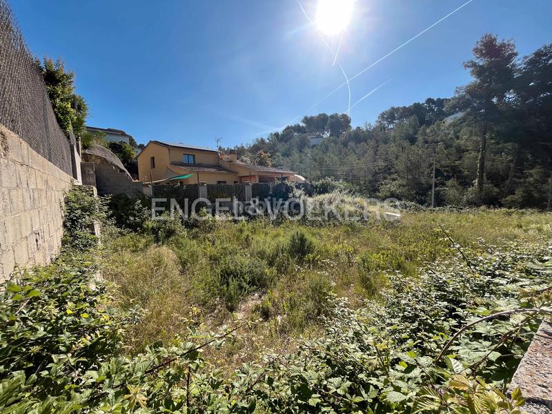 Foto 725a8cd6-04dd-4c12-8213-6b04d1a76f55. Terreny residencial a Olivella