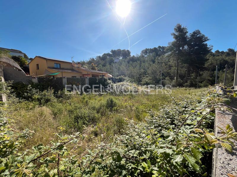 Foto 7b7e1f6d-1c30-4b71-b7af-8694bf1ac5de. Terreny residencial a Olivella