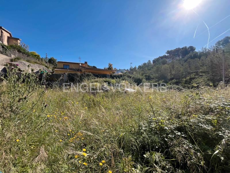 Foto 9075ddfd-8013-4b80-9de4-e93dc03e38ef. Terreny residencial a Olivella