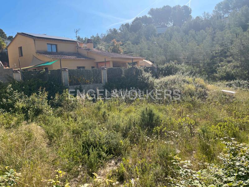 Foto ce033b60-0732-4870-98b2-eda79eb74e06. Terreny residencial a Olivella