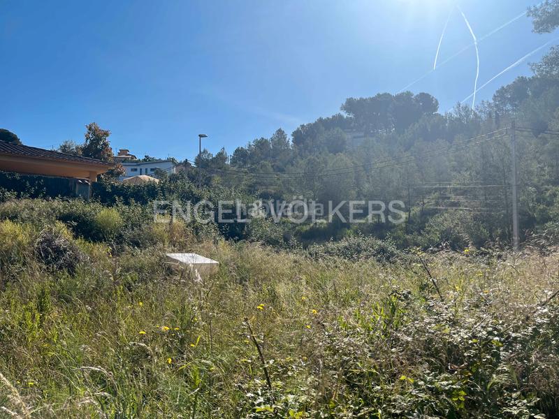 Foto d04b7fb9-c6e1-40d7-98b7-afd3ecd8eff6. Terreny residencial a Olivella