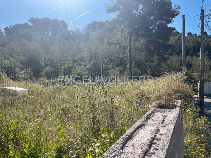Foto eeefee36-a67d-4c81-a2bf-f91ff1e288eb. Terreny residencial a Olivella