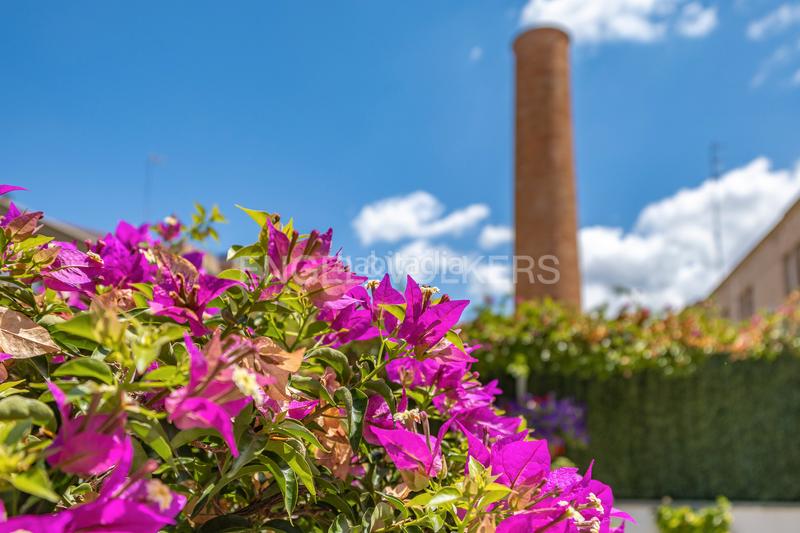 Foto 087a4793-025f-4458-86f7-32dfeeca0940. Piccolo appartamento con riscaldamento parcheggio in Terrassa