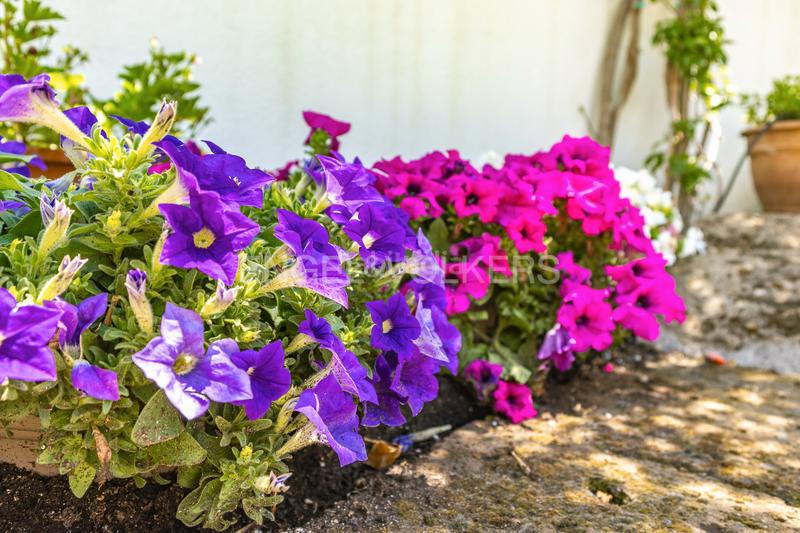 Foto ae4fadbd-9b04-4ef8-85b9-e05a5c46f247. Piccolo appartamento con riscaldamento parcheggio in Terrassa