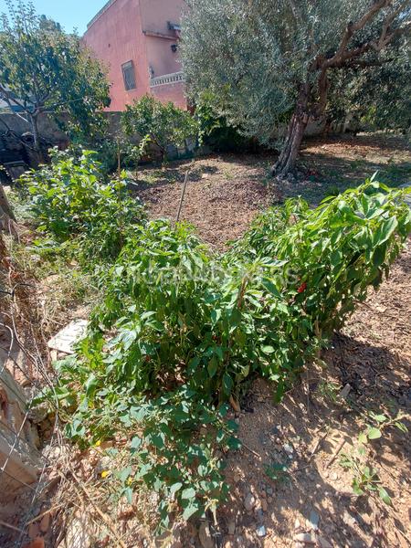 Foto 21a04dd9-7a2c-4b68-9bd2-c92ee5871815. Terrain résidentiel dans Els Canons - Les Orioles - Can Paulet Sant Boi de Llobregat