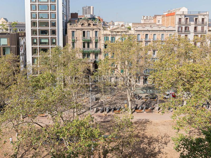 Foto 7a97ce7d-4714-41d8-b7b4-77f425f6a615. Rent apartment with heating in Vila de Gràcia Barcelona