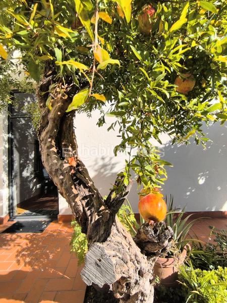 Foto de1285c0-727d-4fba-9232-cb42f467e534. Lloguer casa amb calefacció aparcament piscina a Barcelona