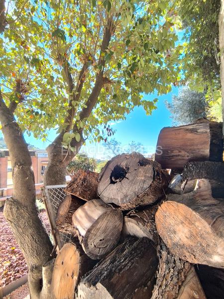 Foto 85de8d55-0084-49c9-a807-b8b29da5342c. Rent house with heating parking pool in El Coll Barcelona