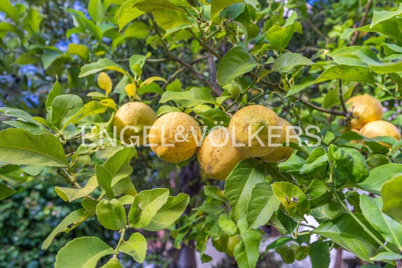Foto 909e2717-c800-489b-a7a2-2c8a08474286. Casa amb calefacció aparcament a Ca n'Aurell Terrassa