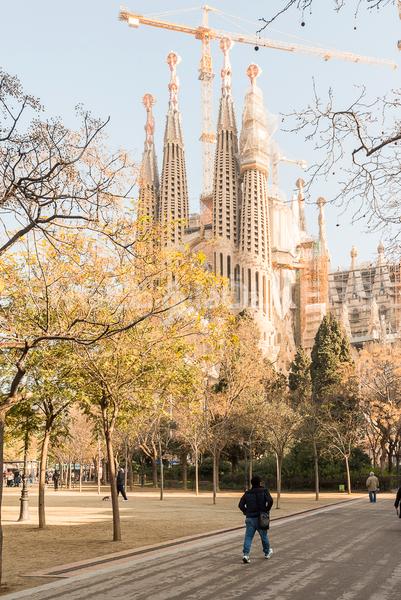 Foto 2d10650a-2aad-415f-8af6-aa21fe603d92. Alquiler apartamento precioso y moderno apartamento en poble sec en Barcelona