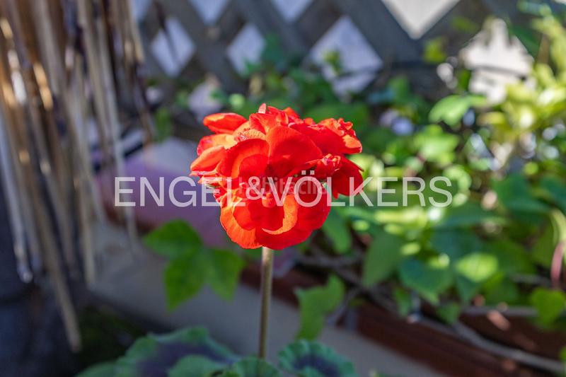 Foto 3363d1ae-3e31-4dce-bafc-8176431fbaf8. Piccolo appartamento con riscaldamento parcheggio in Sabadell