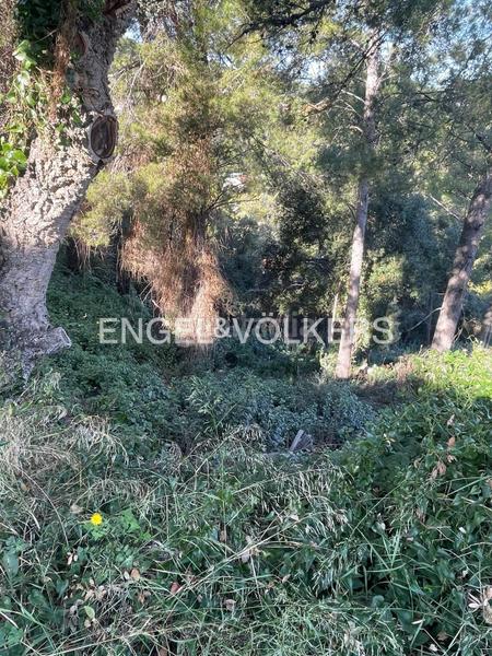 Foto 60dc4de8-d283-48d7-92bd-d0c84cc9d1ac. Terrain résidentiel dans Palafolls