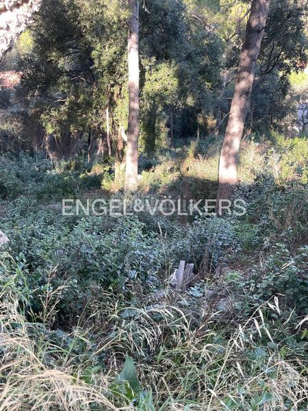 Foto dd63f1fd-05bc-47c2-a629-573be18af87d. Terrain résidentiel dans Palafolls