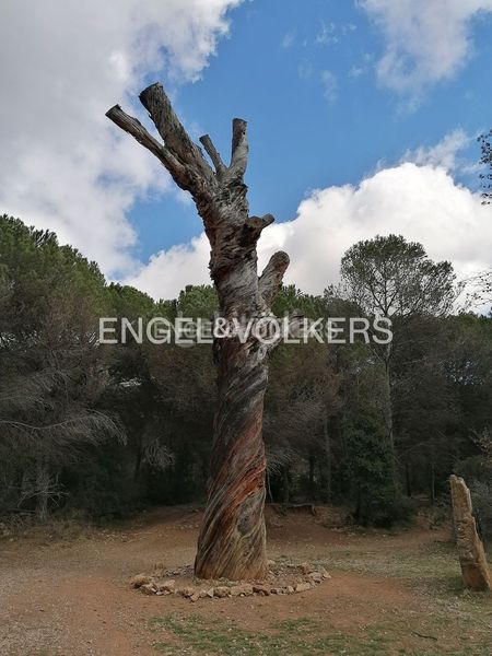 Foto e7d2419f-fe50-49ae-92c9-ec7d0f1063f0. Casa amb calefacció aparcament a Begues