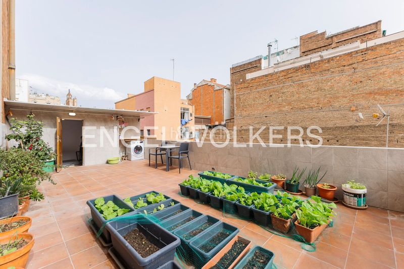 Foto 8da2d859-a2af-4ca5-93c9-c4ed250fb291. Casa amb calefacció a Hostafrancs Barcelona