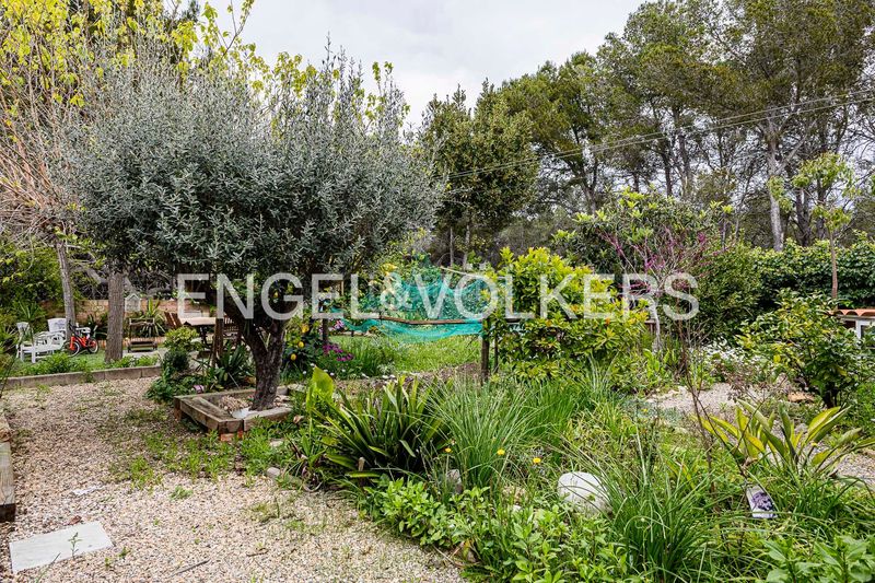 Foto 1957932c-2d44-482e-a183-b284c8dbcd1c. Casa amb calefacció aparcament a Catllar (El)