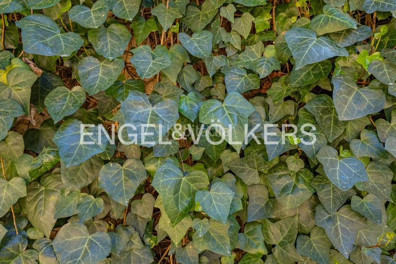 Foto 4a4ccccb-12ef-454b-9d54-f690b843e07e. Casa amb calefacció aparcament a Papiol (El)