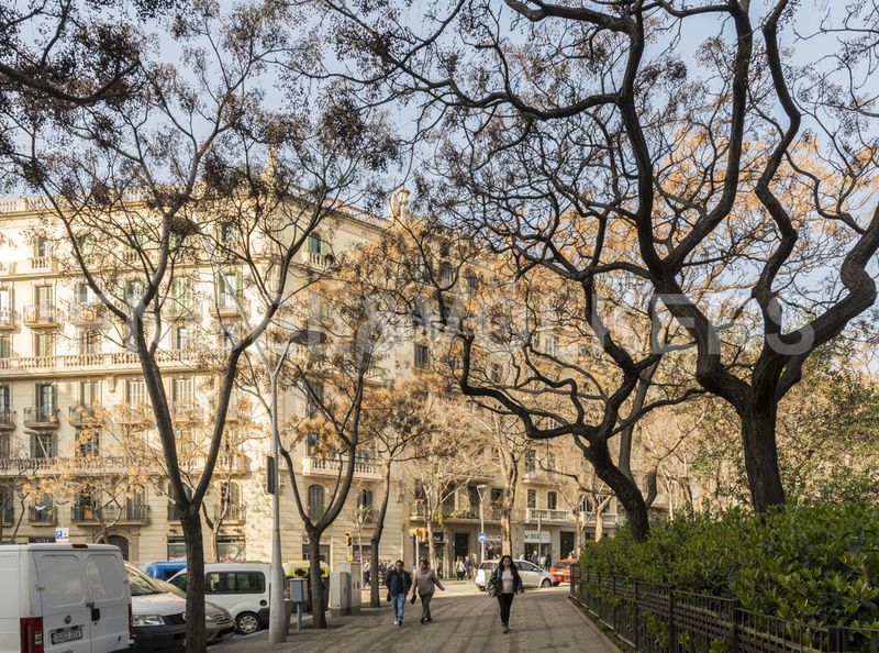 Foto d629363a-da4a-4c89-a040-dfc86e3f37fa. Àtic amb calefacció a Baix Guinardó Barcelona