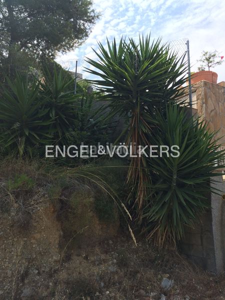 Foto 42b370d1-85be-484f-a1e3-6637d9592c15. Terreny residencial a costa Cunit - els jardins - els rosers Cunit